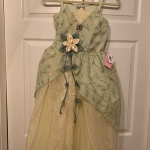 Disney’s Princess and the Frog costume dress